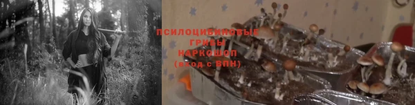 амф Алзамай