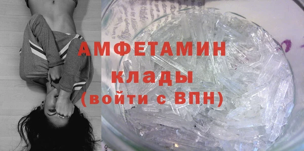 крисы Алексин